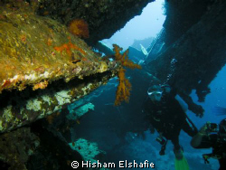 S.S Ulysses Wreck, at Gobal, Red Sea, Egypt by Hisham Elshafie 